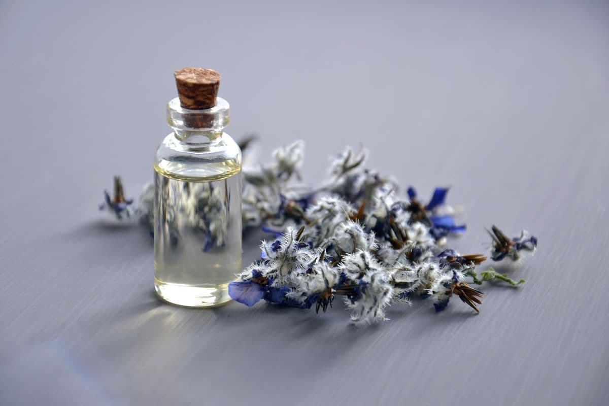 Glass perfume bottle on a clean studio surface with soft directional lighting